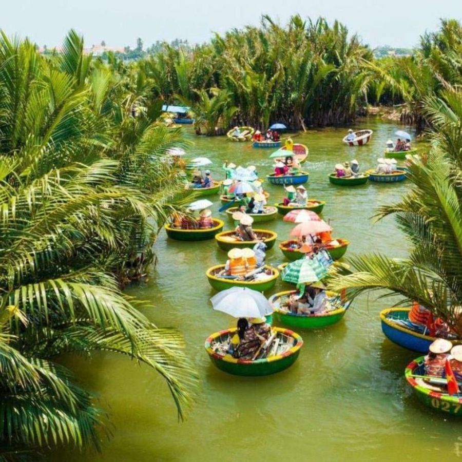 Basket boats in the Cam Thanh coconut forest